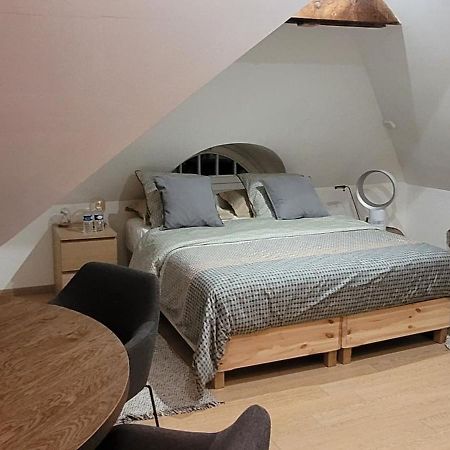 Studio 50M2 Au Bord De L'Eau A Straatsburg Buitenkant foto