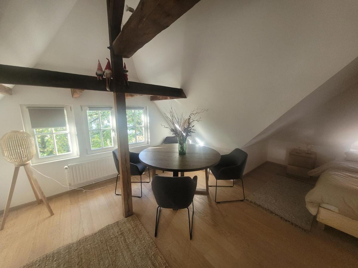 Studio 50M2 Au Bord De L'Eau A Straatsburg Buitenkant foto