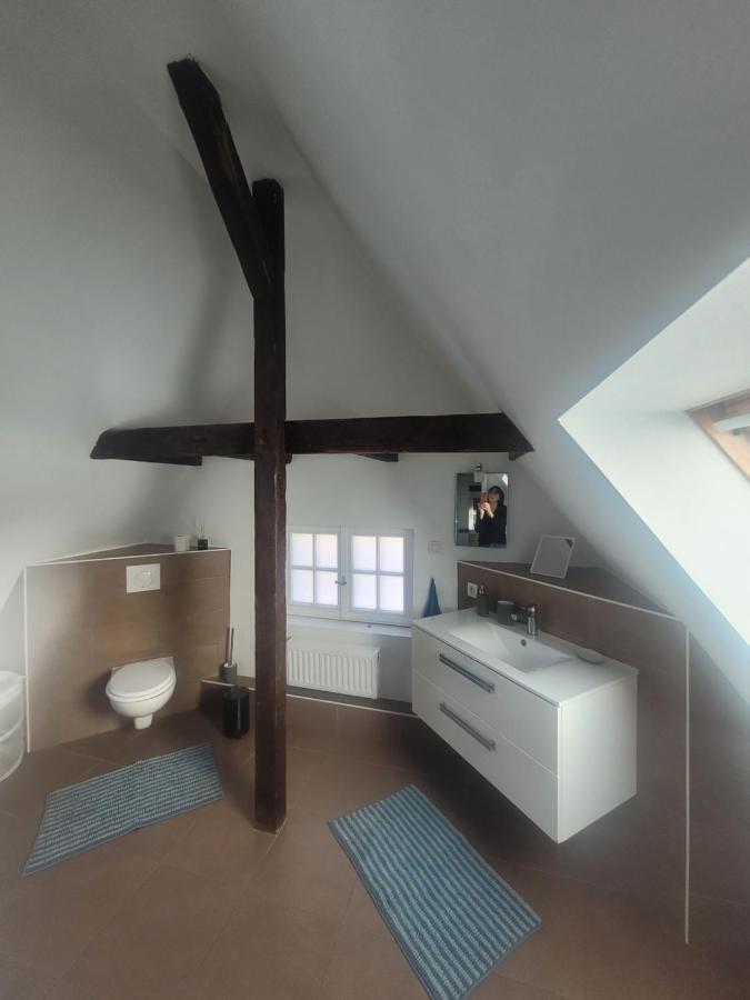 Studio 50M2 Au Bord De L'Eau A Straatsburg Buitenkant foto